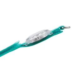 Girls' Disney Princess Ariel Clear Plastic Time Teacher Watch - Green -Family Style Shop GUEST 0f60973a ec76 4145 8138 d7f770d12f52