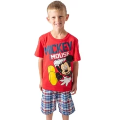 Disney Mickey Mouse Graphic T-Shirt And Shorts Outfit Set Infant To Little Kid