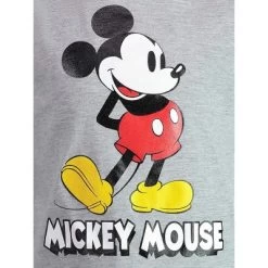 Disney Mickey Mouse Pluto Donald Duck Goofy 4 Pack T-Shirts Toddler -Family Style Shop GUEST 8d78c4d4 97df 460d a317 afbdbb79ff04