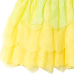 Disney Princess Tiana Tulle Costume Sleeveless Dress Green -Family Style Shop GUEST 8e1455eb 8171 482d 9e51 e4c14b8e23d5
