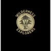 Disney Boy's Up Wilderness Explorer Badge T-Shirt -Family Style Shop GUEST 8e9ff4d7 757b 4952 968e f3fdaa357a44