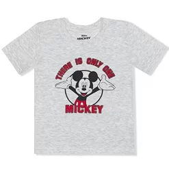 Disney Boy's There Is Only One Mickey Mouse Graphic Tee, 3D Hooded Shirt And Casual Short Set For Toddler -Family Style Shop GUEST a9c17e49 4e79 4eab 94dc 05602d28bbae