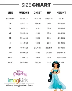 Disney Princess Belle Ariel Cinderella 4 Pack T-Shirts Infant To Big Kid -Family Style Shop GUEST d17ab805 dcb4 4e88 8829 a092dfccc750