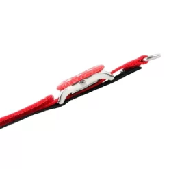 Boys' Disney Cars Watch - Red 10 Boys' Disney Cars Watch - Red -Family Style Shop GUEST d60e0417 0cb6 40d5 825d 07e939942bbf