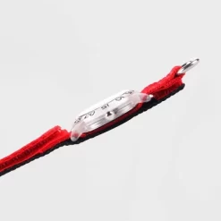 Girls' Disney Dumbo Clear Plastic Time Teacher Watch - Red -Family Style Shop GUEST e22f0033 0ee1 4716 ab0e 1e6aa8c5d507