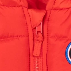 Disney Pixar Cars Lightning McQueen Winter Coat Puffer Jacket Toddler 16 Disney Pixar Cars Lightning McQueen Winter Coat Puffer Jacket Toddler -Family Style Shop GUEST e3ccb71d 9ca8 4b99 8b0f b5c2a7c27659